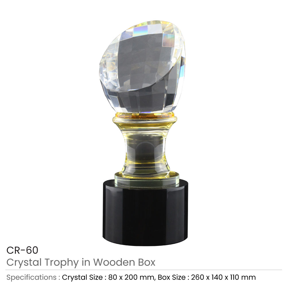 Crystal-Trophy-in-Wooden-Box-CR-60-Details