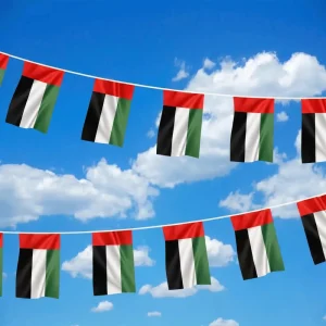 UAE String Flags and Flag Bunting 32Pcs - Image 4